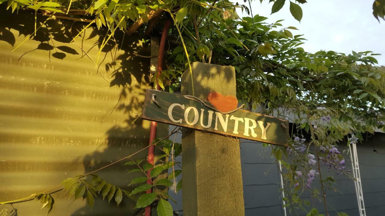 Dragonflycottagebnb Grovetown Exterior photo