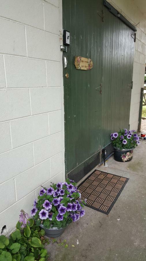 Dragonflycottagebnb Grovetown Exterior photo
